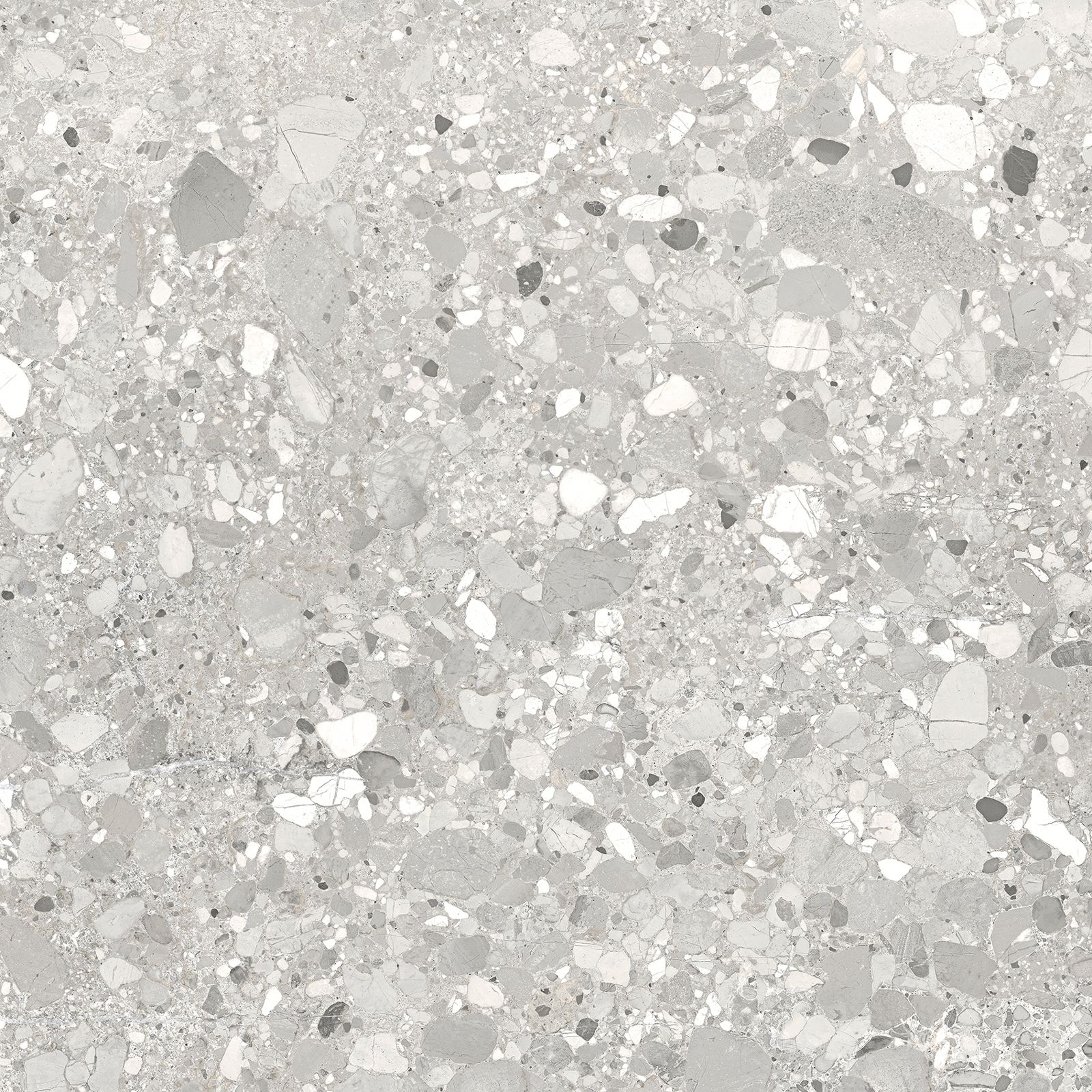 CLEMON SILVER 60×60 (n) REC