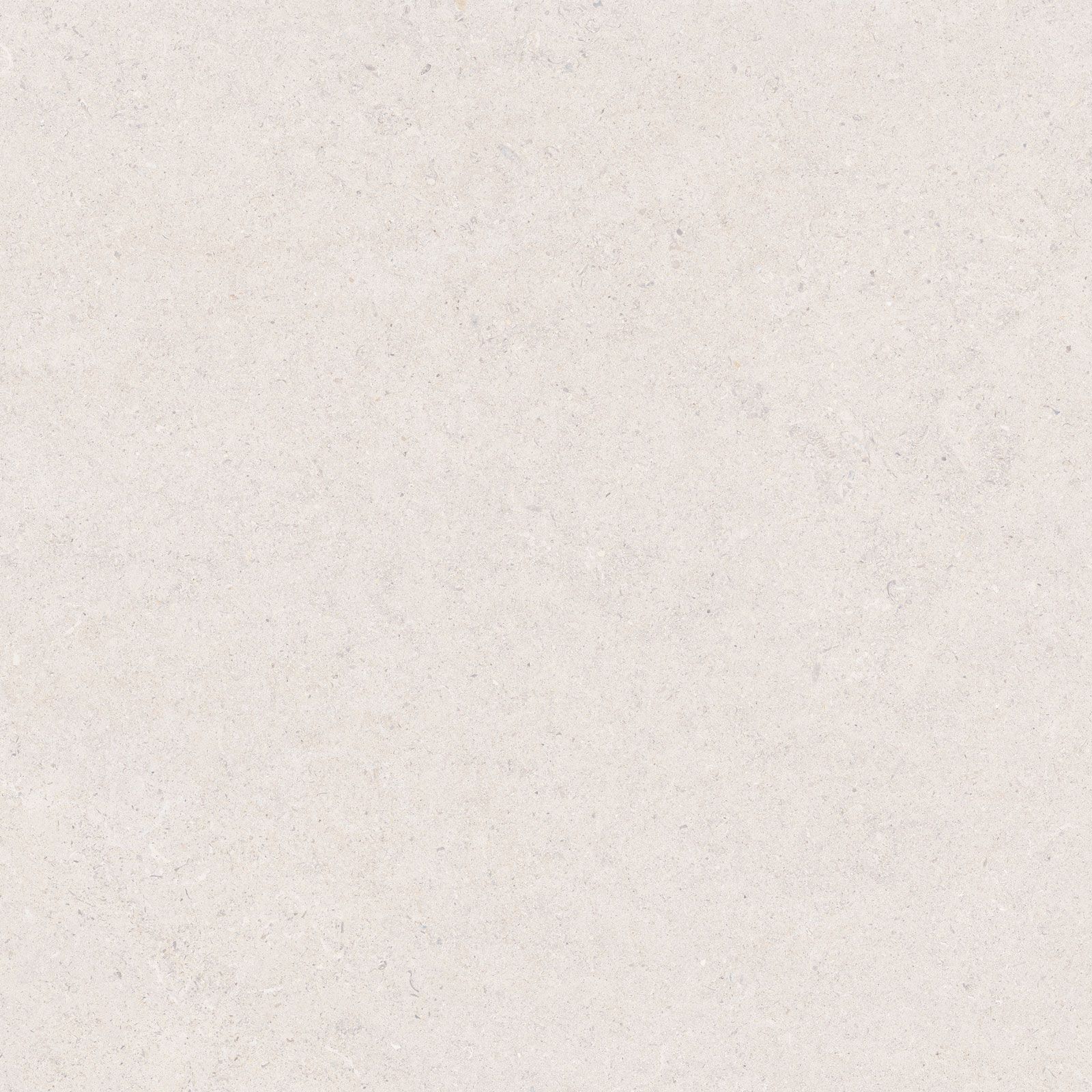 CALCARE WHITE 120×120(T) ADZ