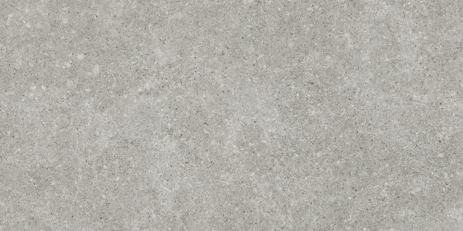 STALE SILVER 60X120 REC