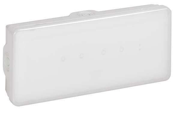 Bloc de secours B65 non permanent / P 350lm 1h IP65 Led autotest / adressable