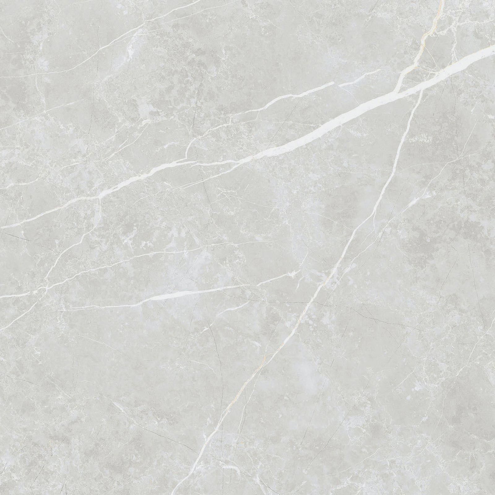 ELITE MATT SILVER 60X60 REC