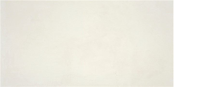 P.E. ALWAYS WHITE MT 60X120 RECT. SB