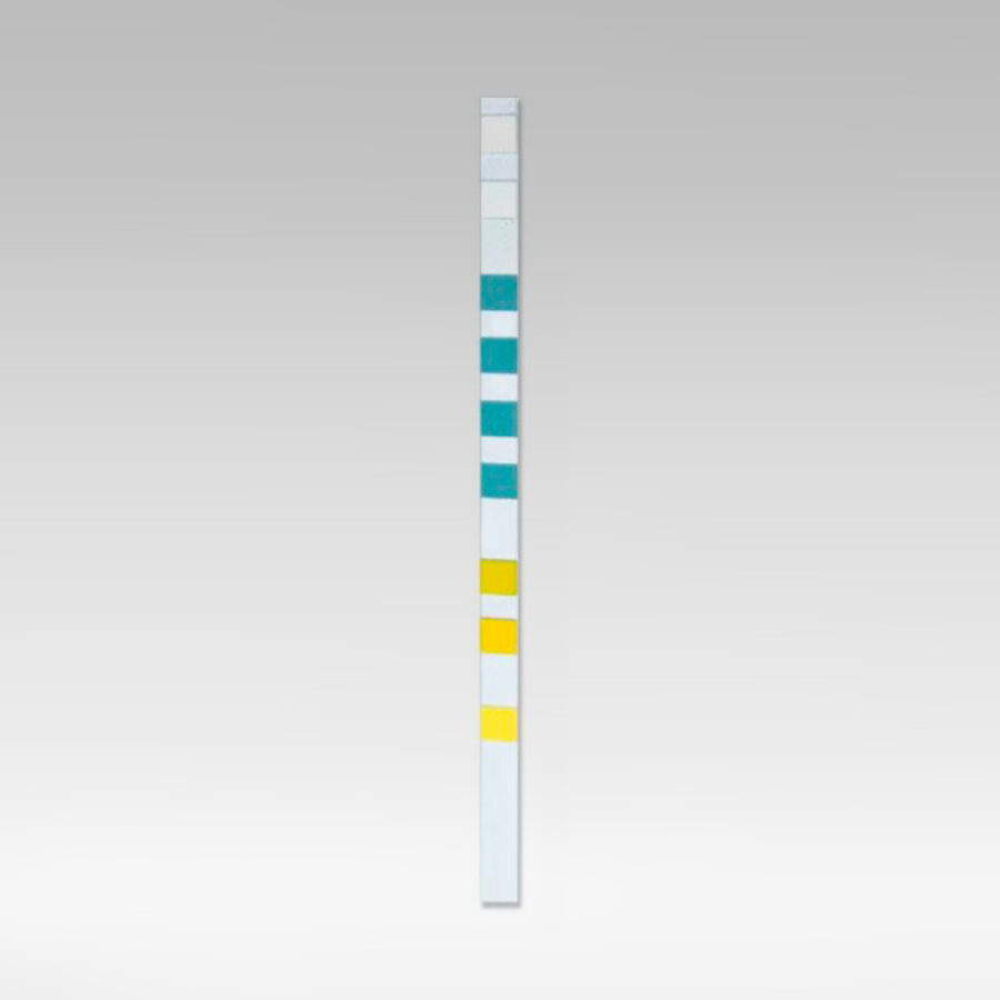 SIMPLEX FILTRE FIN POUR EAU DE VILLE DURLEM KIT