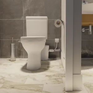BROYEUR POUR WC+LAVABO SANIACCESS 2 SFA BLANC
