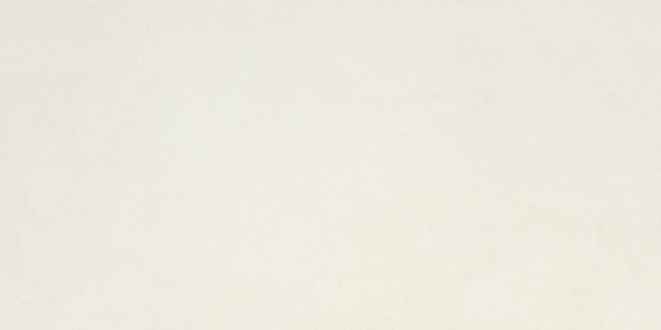 P.E. ALWAYS WHITE MT 30X60 RECT. SB