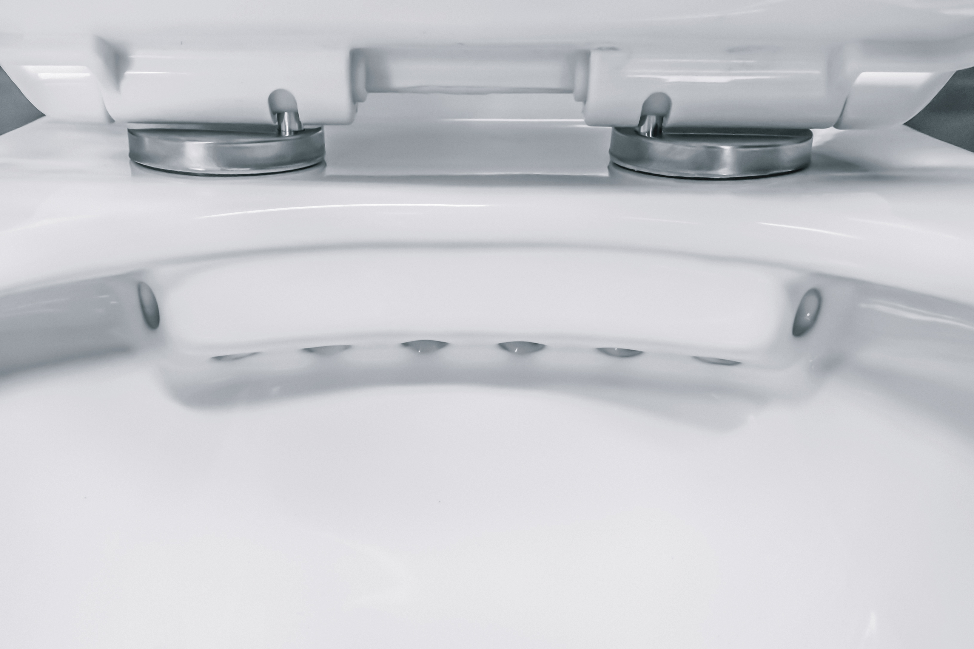 ALONI PRO WC SUSPENDU – SANS BRIDE – AVEC ABATTANT – THERMOPLAST (PP) – SOFT CLOSE – QUICK RELEASE – 35,5X41X54,5 CM - BLANC BRILLANT