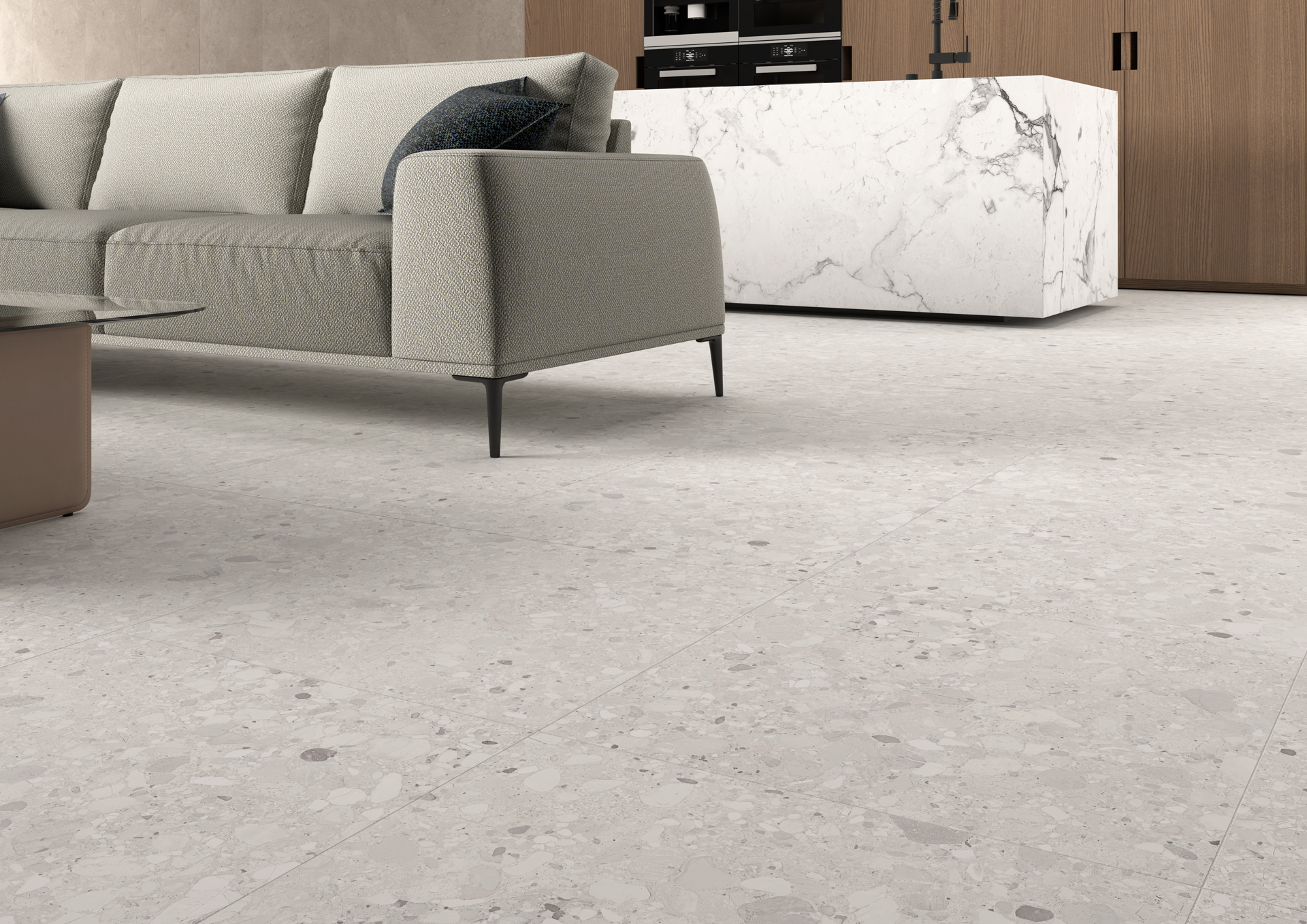 CLEMON SILVER 60×60 REC