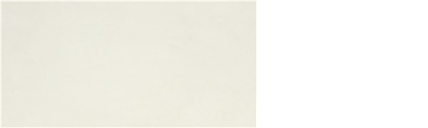 P.E. ALWAYS WHITE MT 30X60 RECT. SB