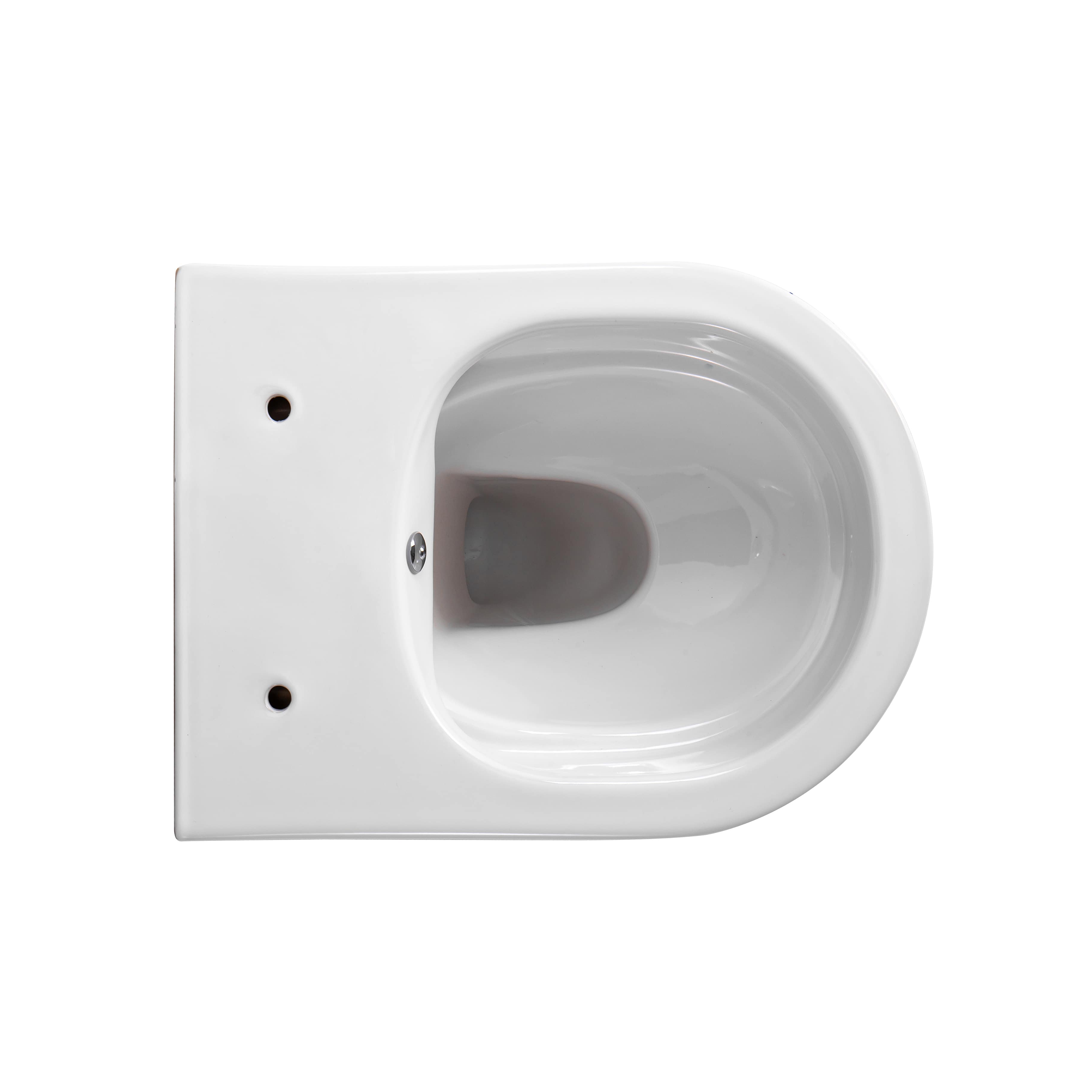 DARLO WC SUSPENDU AVEC BIDET - SANS BRIDE - AVEC ROBINET BIDER EAU FROIDE - SANS ABATTANT - COMPACT 49 CM - BLANC BRILLANT