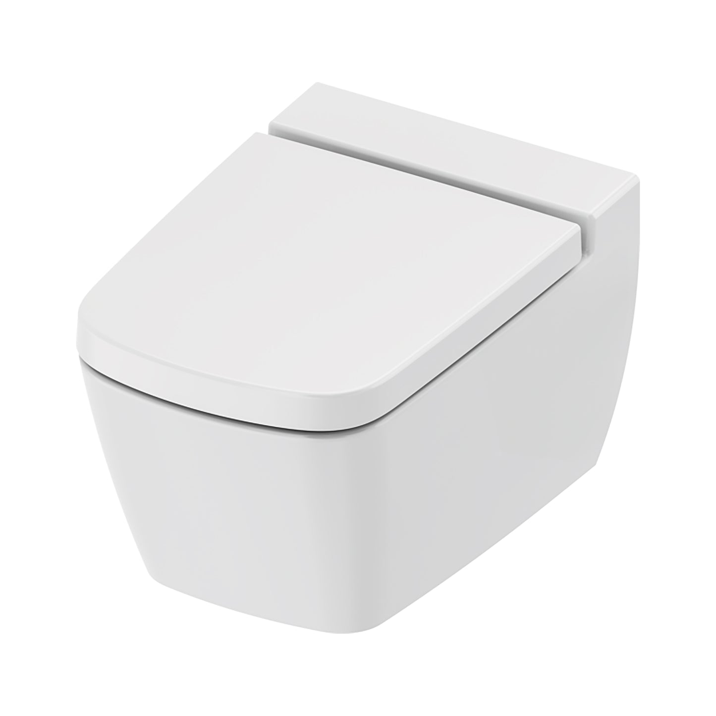 TECENEO TOILET SUSPENDU AVEC BIDET - AVEC MITIGEUR DE BIDET - EAU FROIDE - AVEC ABATTANT - 54 CM - BLANC BRILLANT