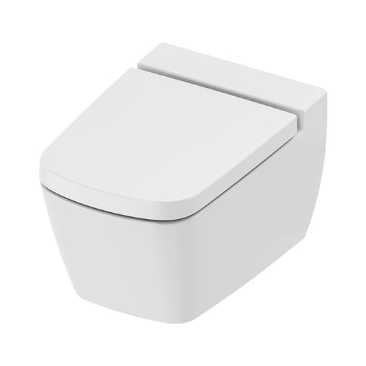TECENEO TOILET SUSPENDU AVEC BIDET - AVEC MITIGEUR DE BIDET - EAU FROIDE - AVEC ABATTANT - 54 CM - BLANC BRILLANT
