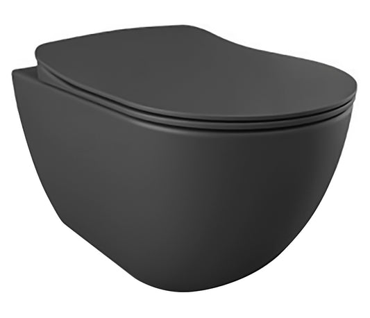 WC SUSPENDU DESIGN GRIS ANTHRACITE MAT, AVEC HYGIÈNE (BIDET) INOX