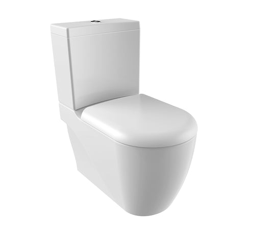 GRANDE XXL CUVETTE WC À POSER, AVEC HYGIÈNE (BIDET), SORTIE MUR/VERTICALE