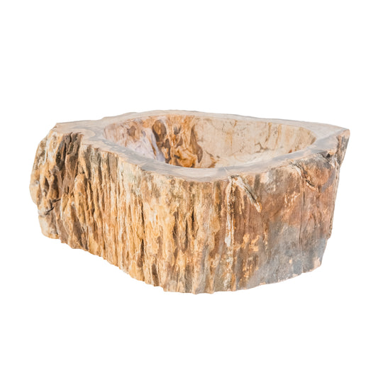 VASQUE EN BOIS FOSSILISÉ 30-35x15CM