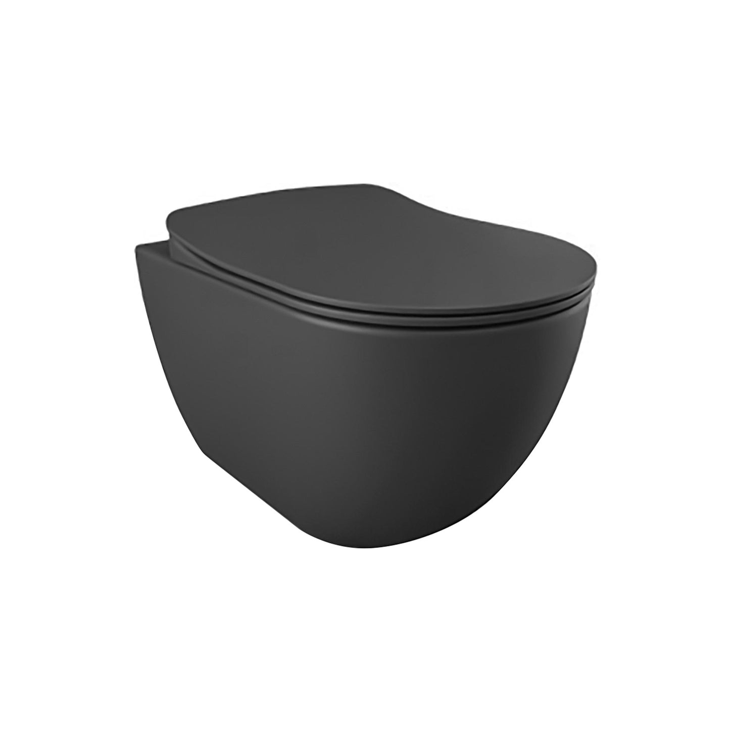 WC SUSPENDU RIMOFF ANTHRACITE MAT, AVEC HYGIÈNE INOX